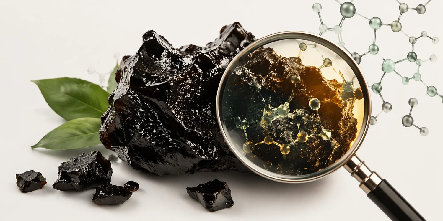 Shilajit Inhaltsstoffe – Was steckt im Himalaya-Harz?