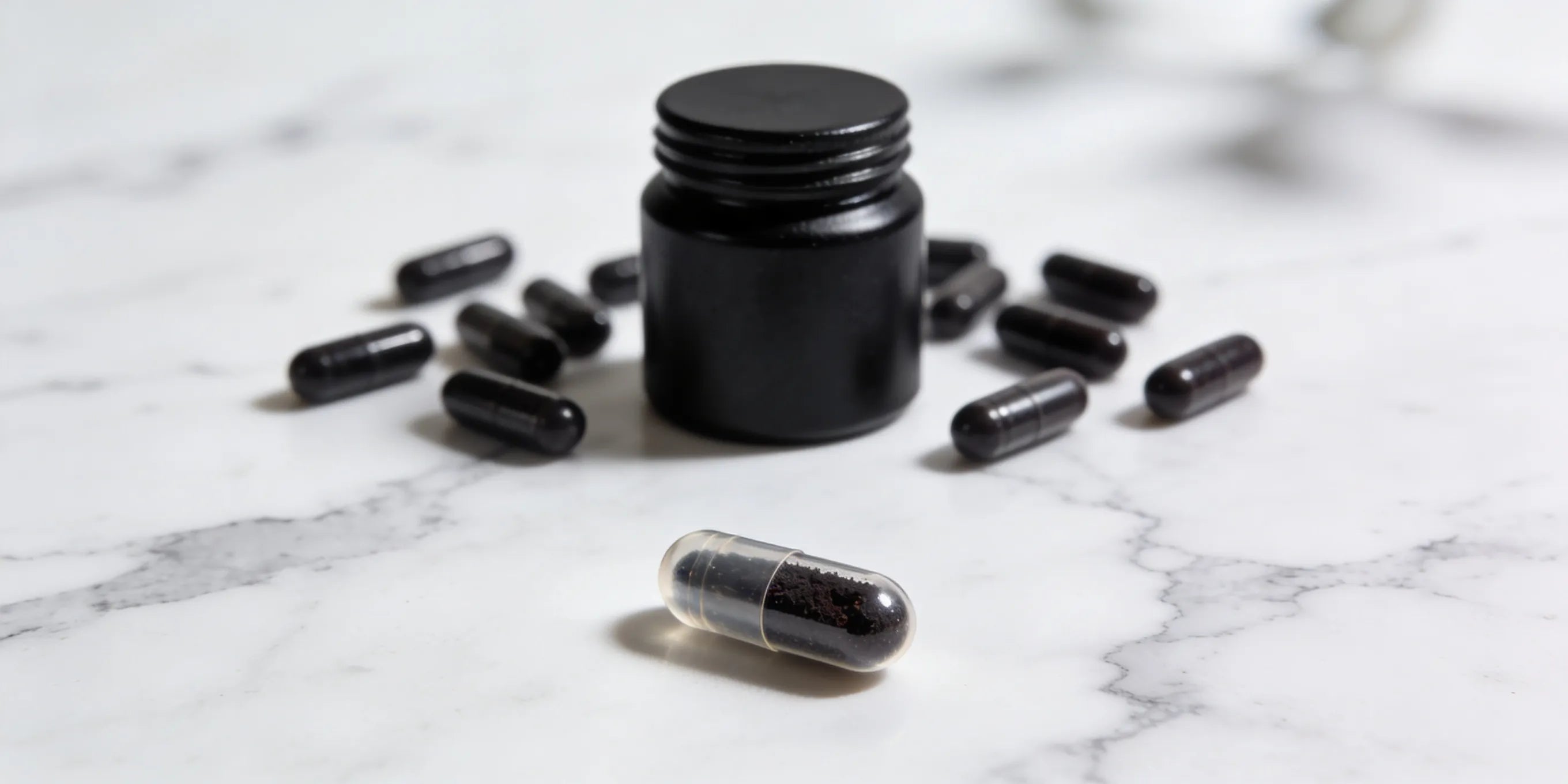 Shilajit Kapseln – Worauf beim Kauf achten?