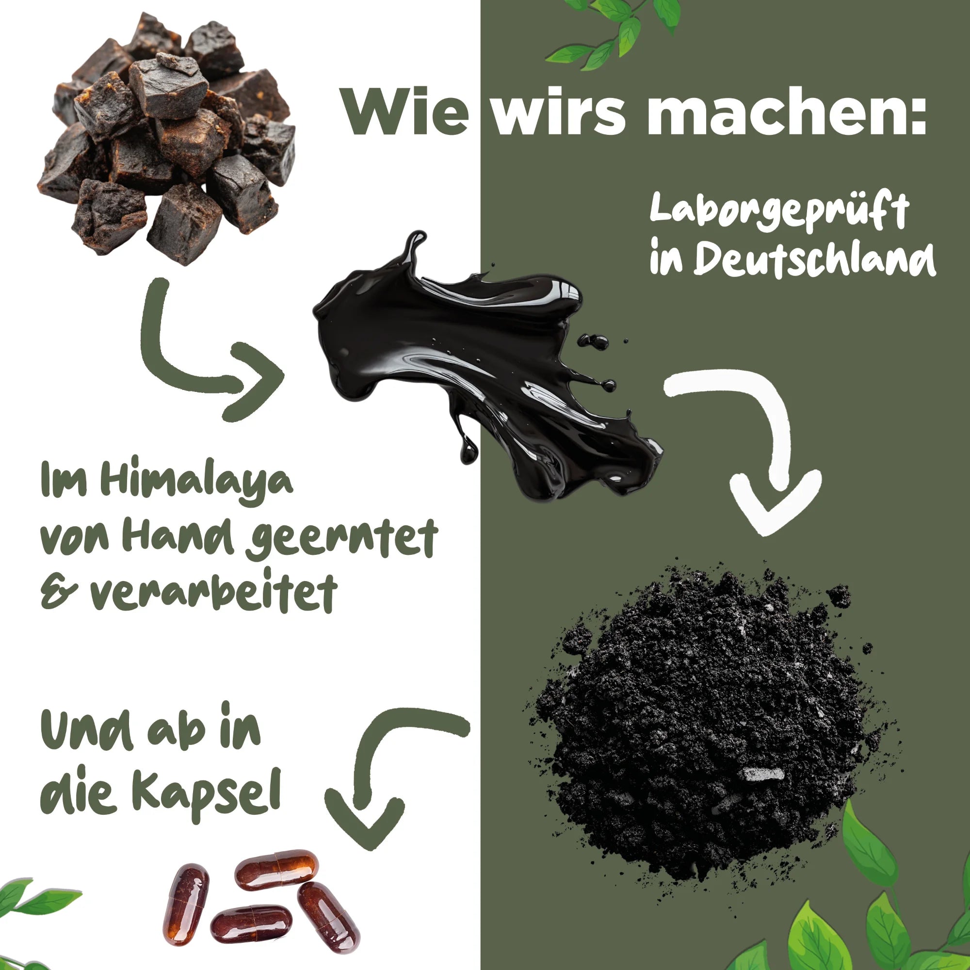 Shilajit Kapseln | 1300mg pro Tagesdosis | 180 Stück