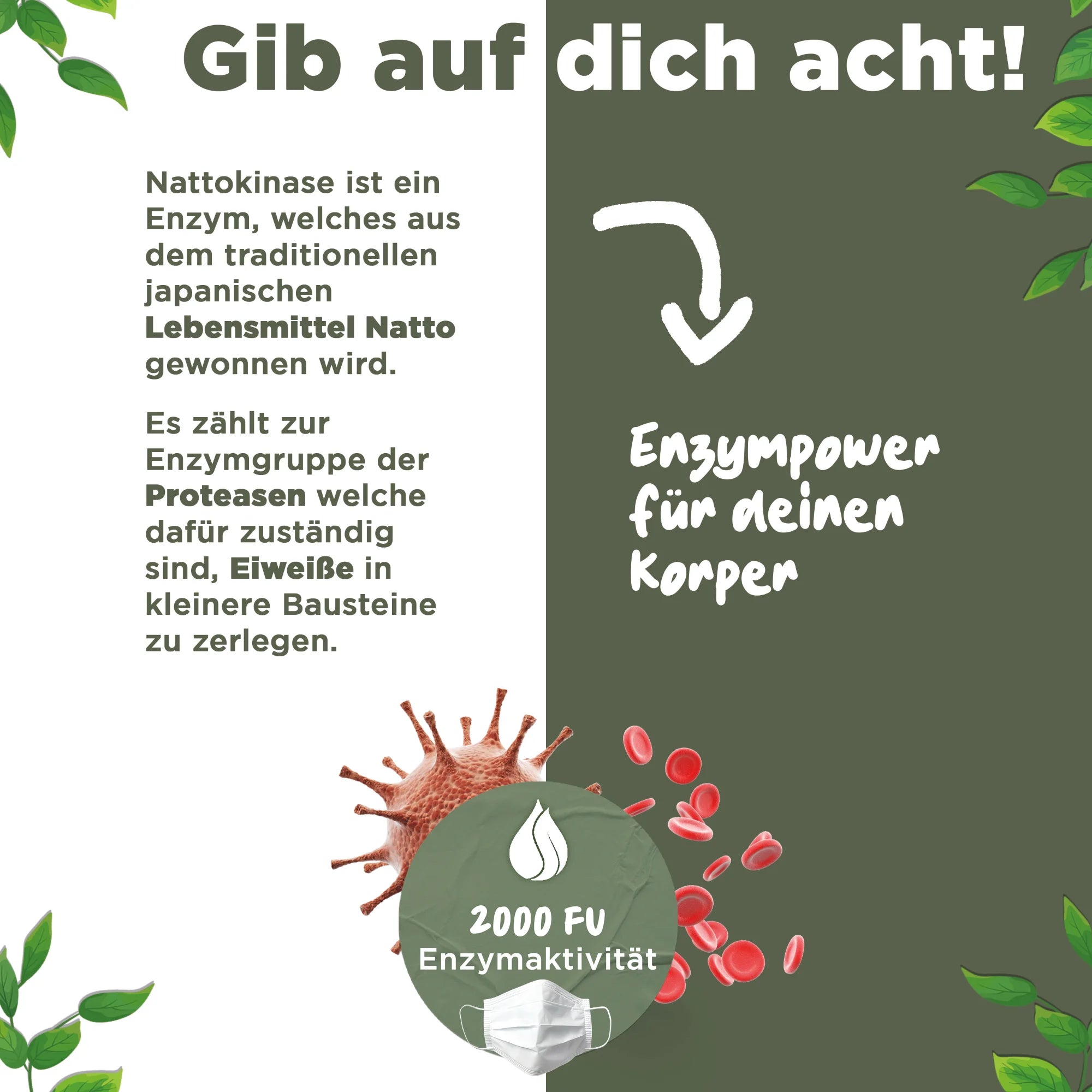 Nattokinase | 20.000 FU/G | 365 Kapseln