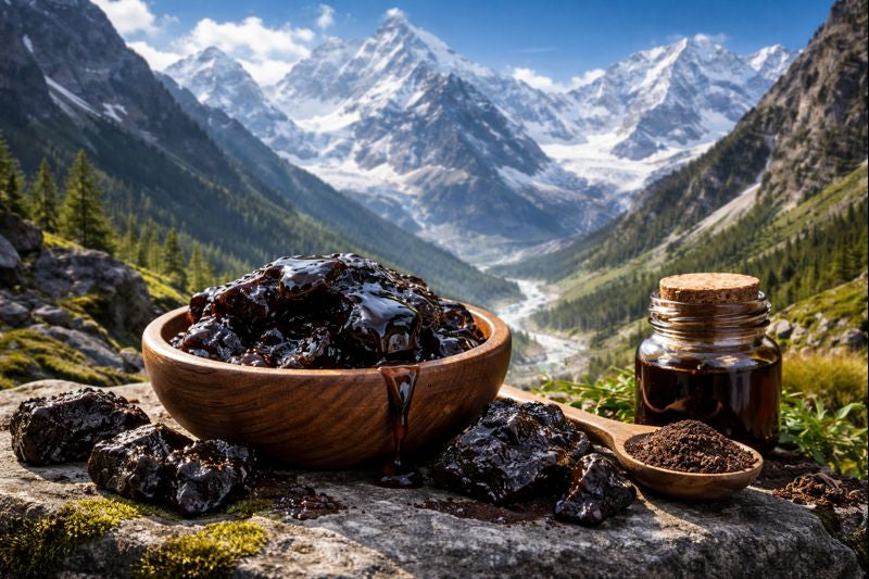 Shilajit Erfahrungen: Was du über das Himalaya-Harz wissen solltest