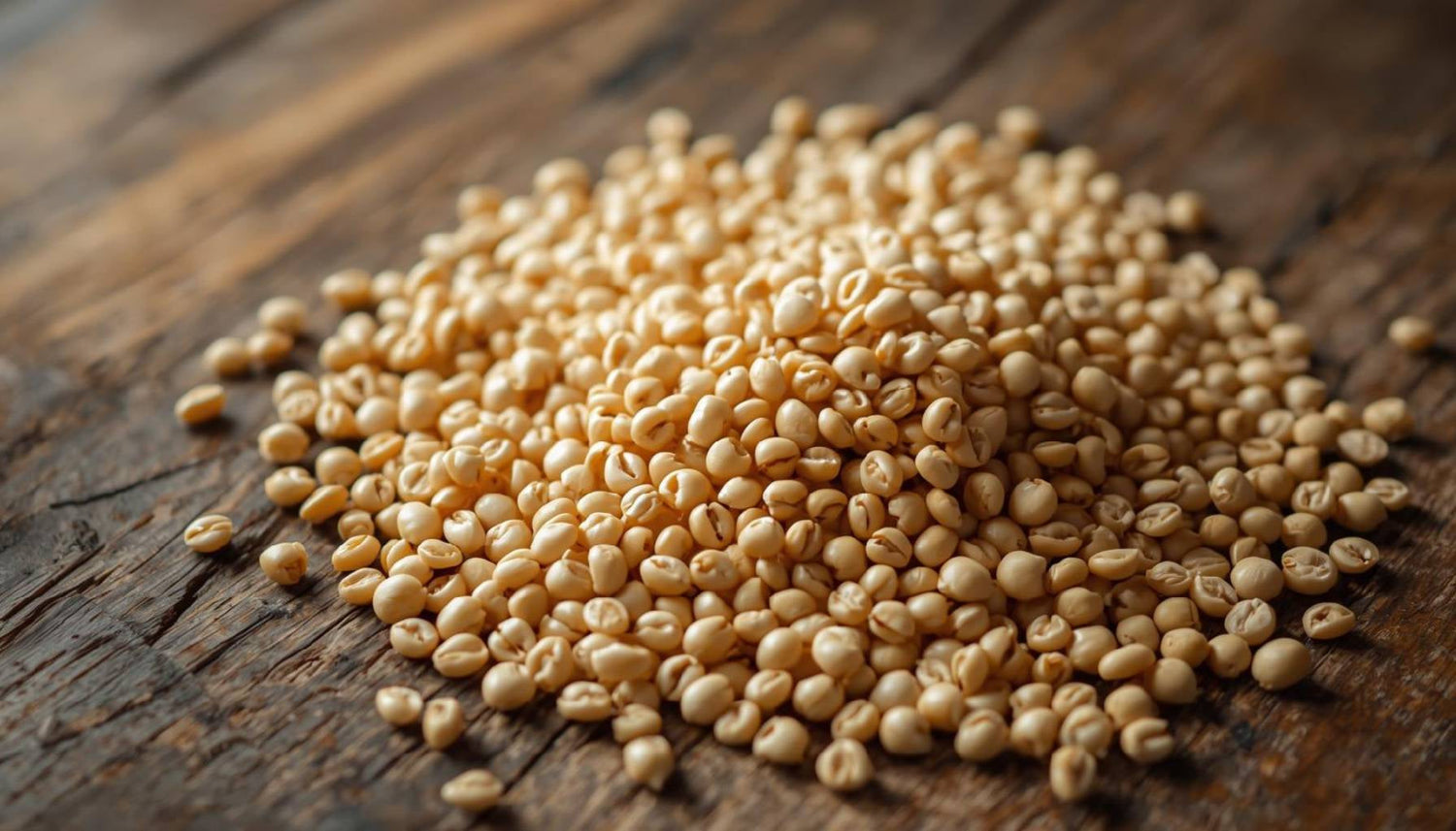 Nattokinase kaufen: Worauf du bei Kapseln achten solltest