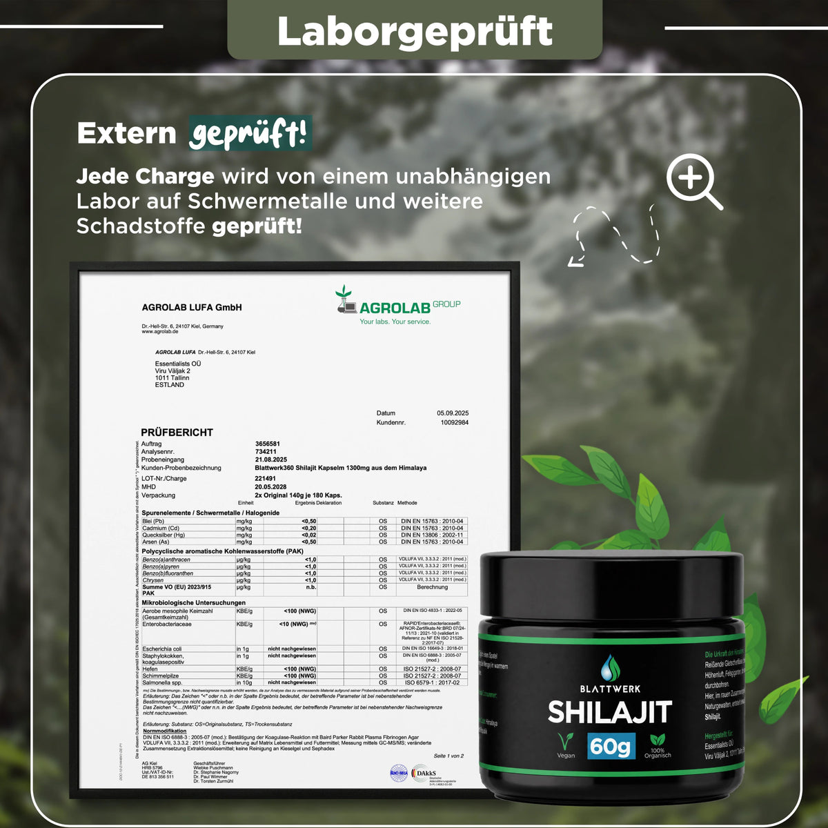 Shilajit Harz | 600mg pro Tagesdosis | 60g