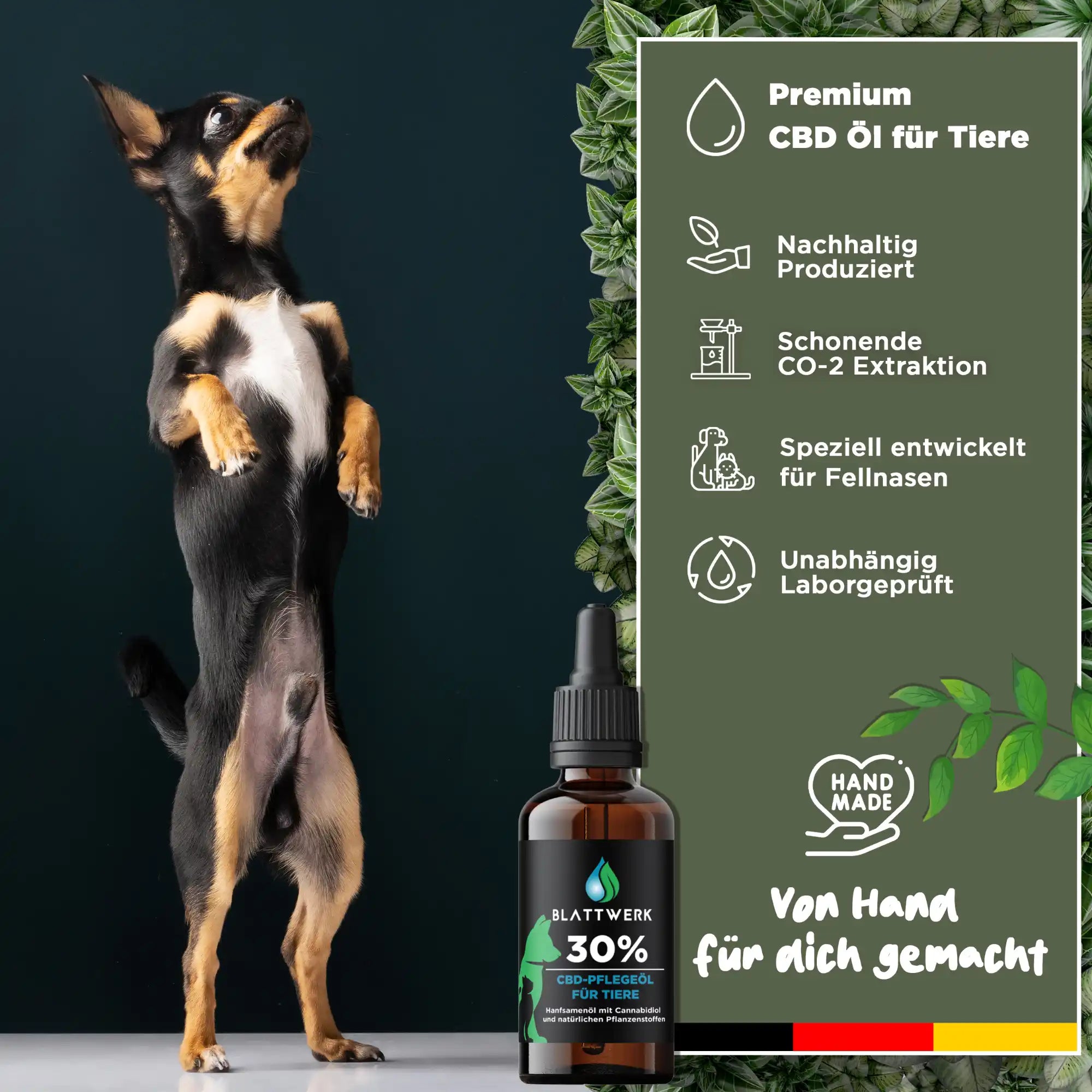 30% CBD Öl für Hunde & Katzen