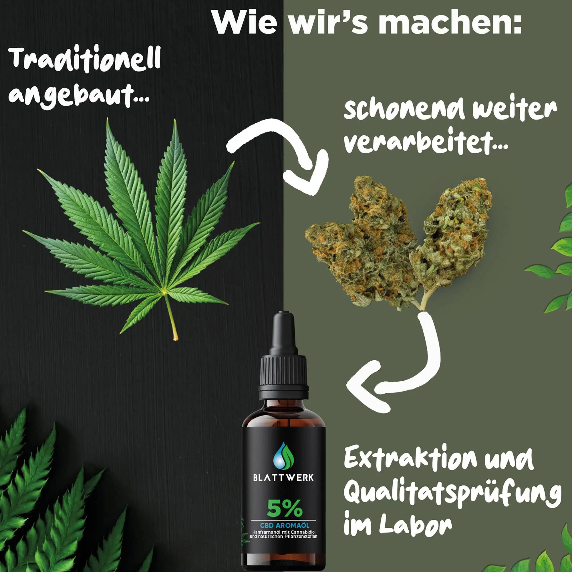 5% CBD Öl Vollspektrum