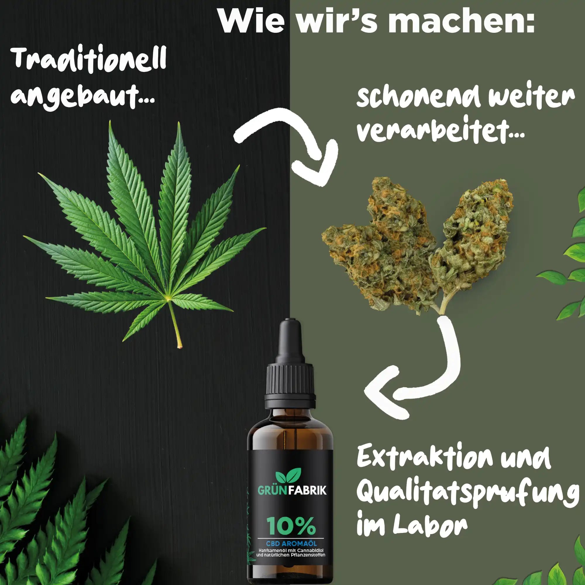 10% CBD Öl Vollspektrum | Grünfabrik