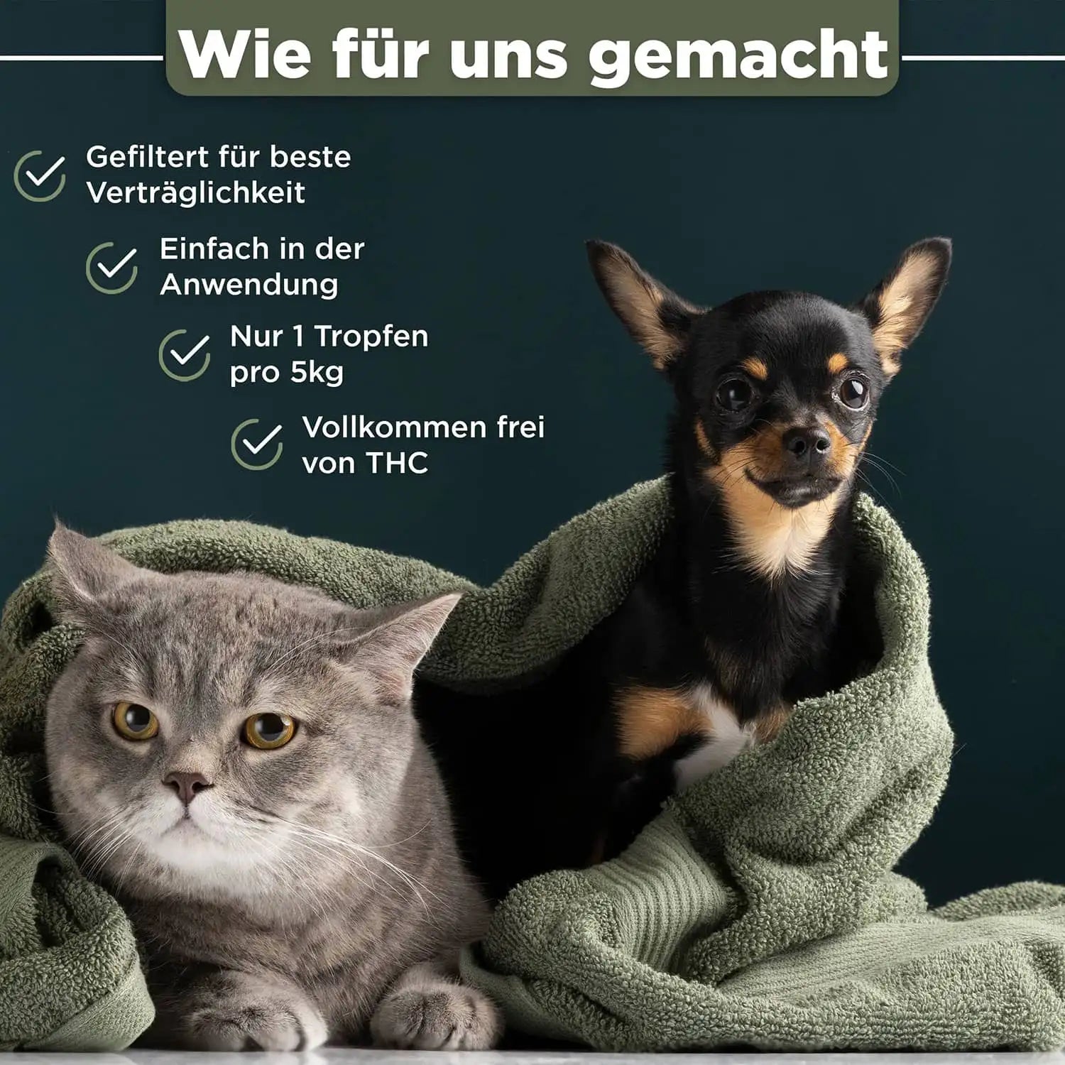 10% CBD Öl für Hunde & Katzen