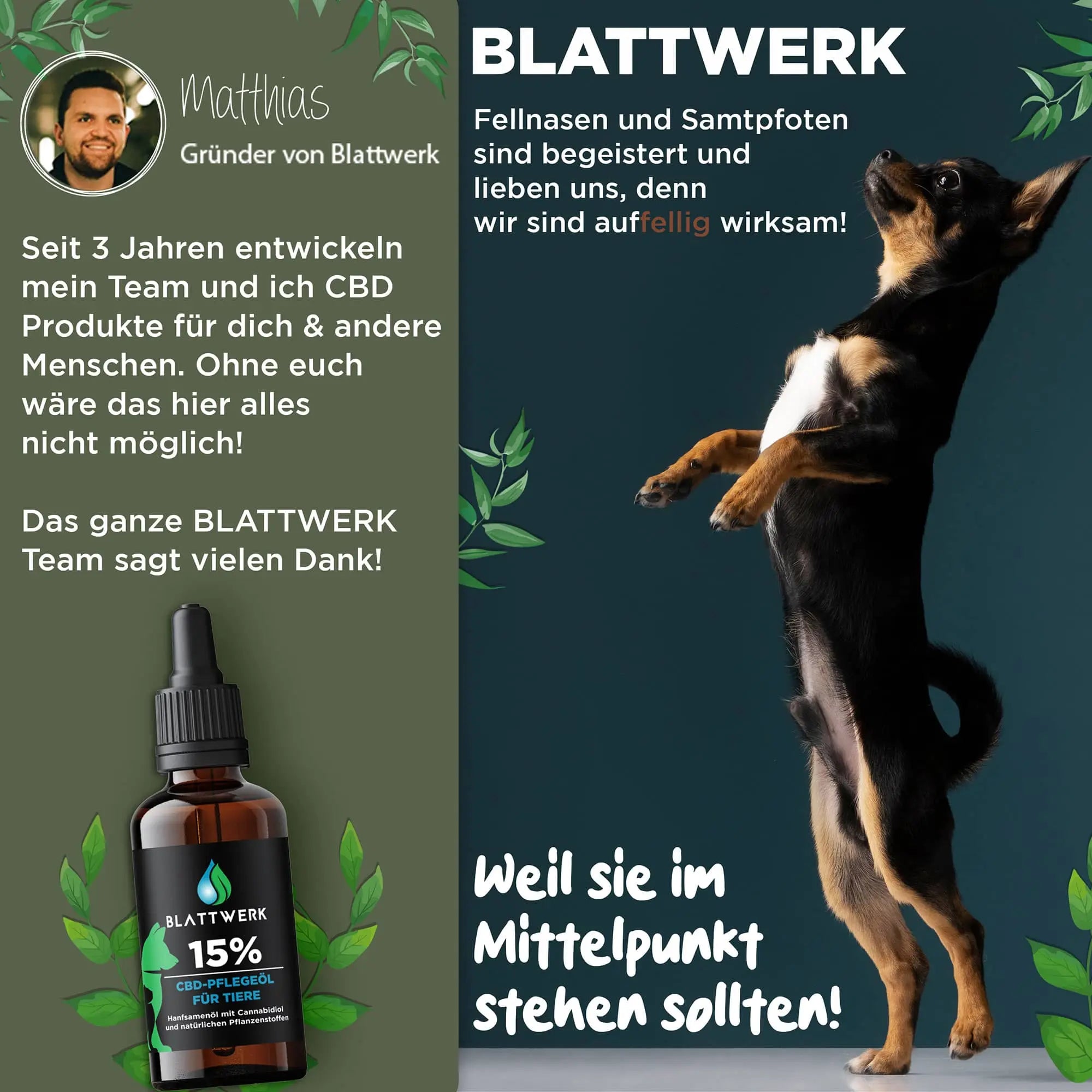 15% CBD Öl für Hunde & Katzen