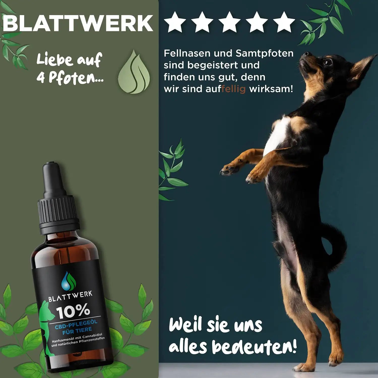 10% CBD Öl für Hunde & Katzen