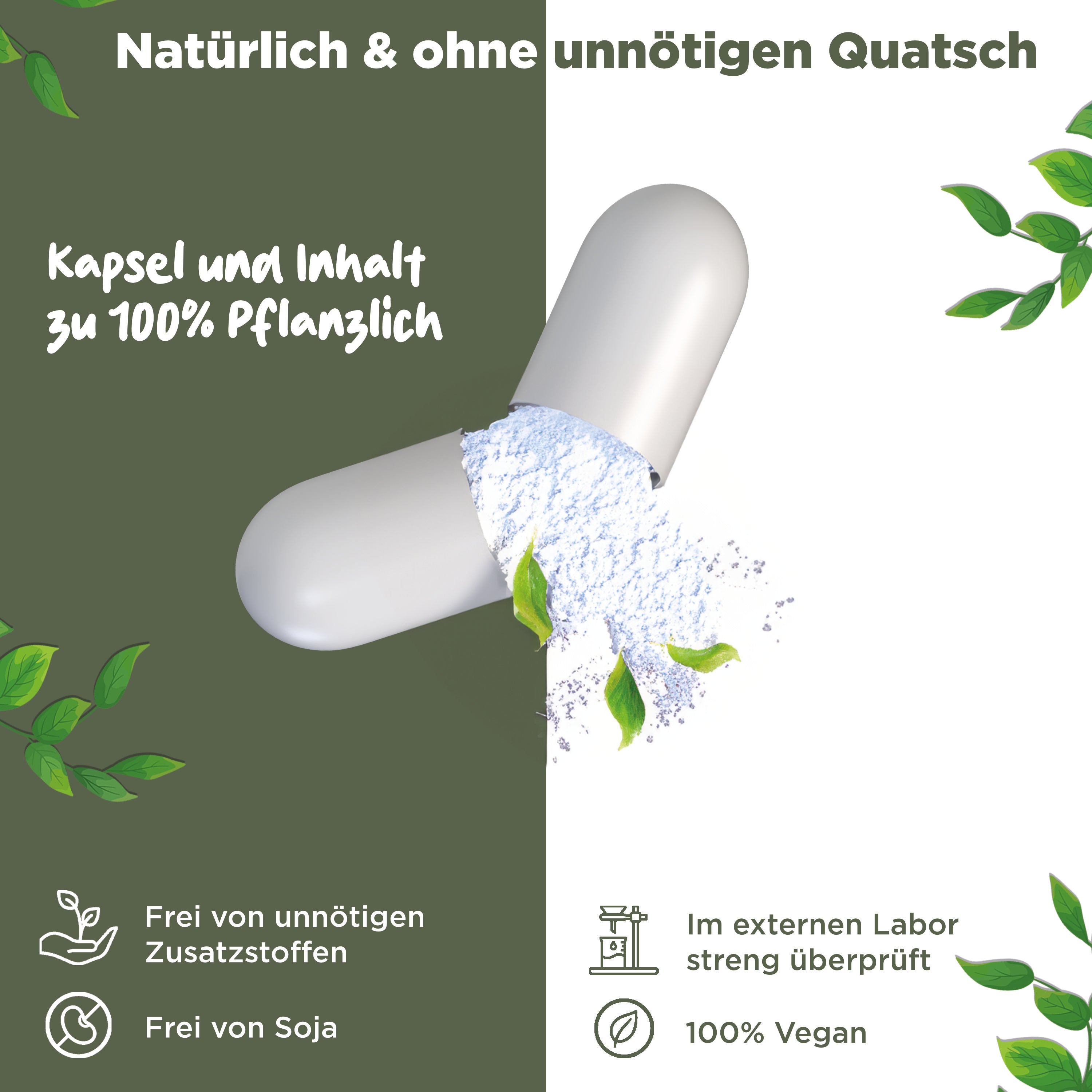 Nattokinase | 20.000 FU/G | 365 Kapseln