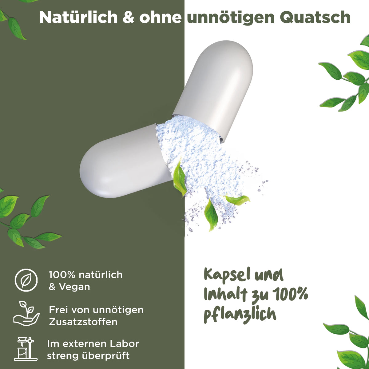 Nattokinase | 20.000 FU/G | 240 Kapseln