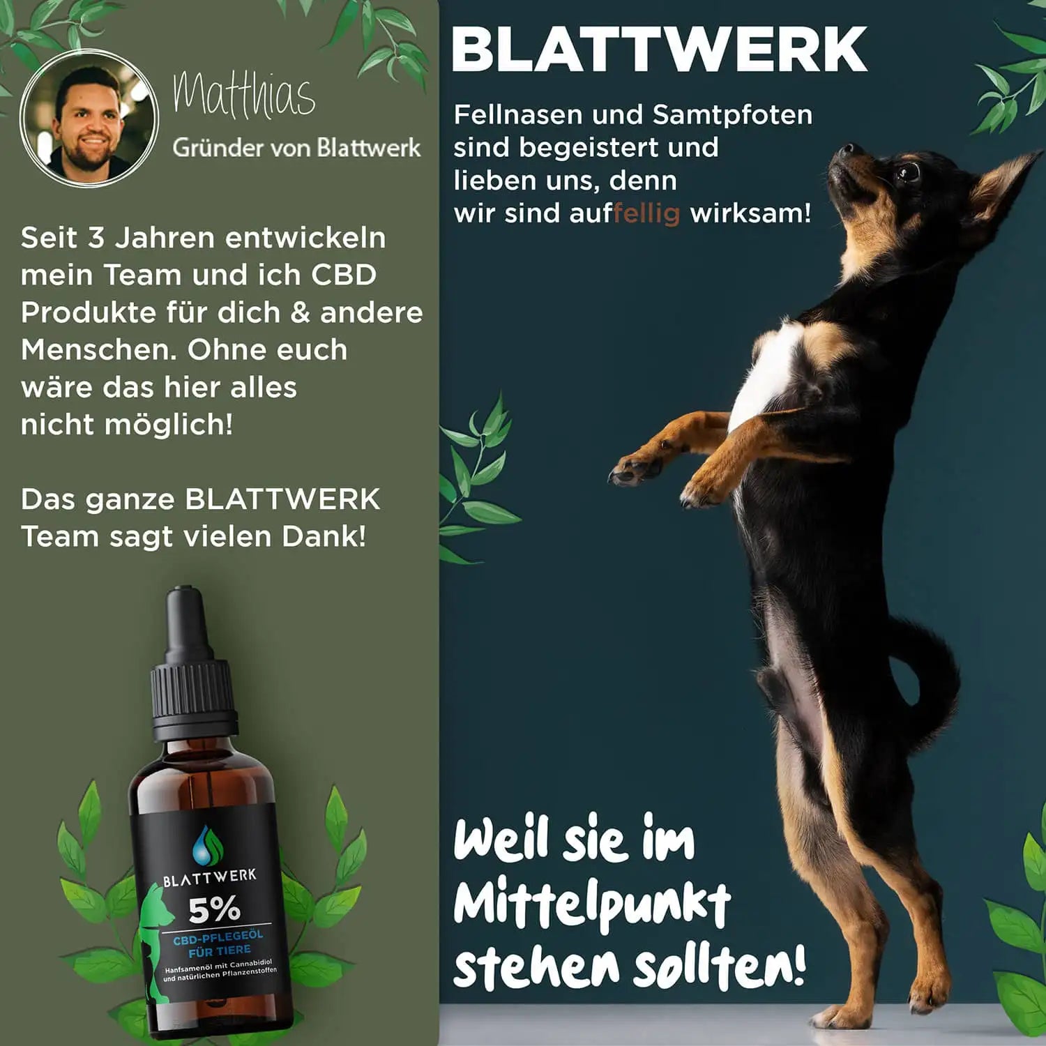 5% CBD Öl für Hunde & Katzen